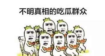 吃瓜群众免费网红瓜,吃瓜群众狂欢盛宴